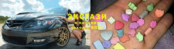 шишки Белая Холуница