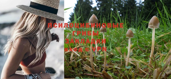 прущая мука Магас