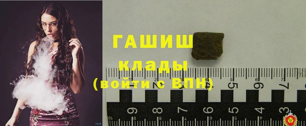 шишки Белая Холуница