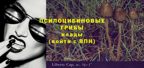 ECSTASY Мегион