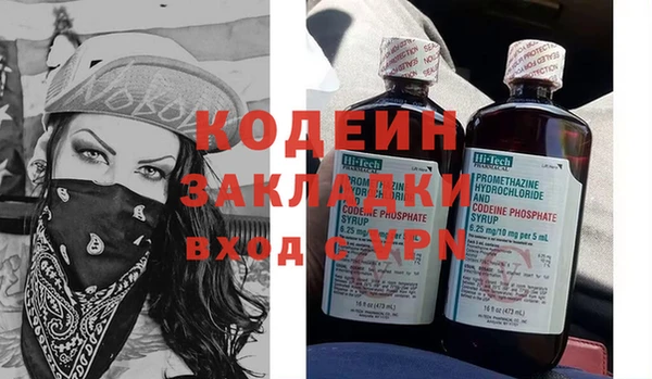 шишки Белая Холуница