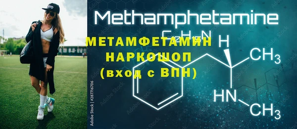 шишки Белая Холуница
