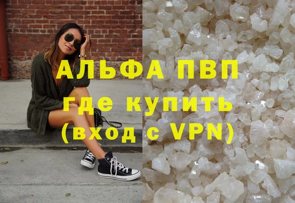 ECSTASY Майский